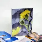 Фотоальбом Жёлтые цветы